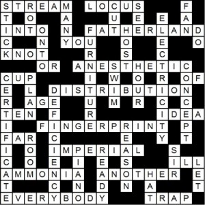 crossword puzzle solution