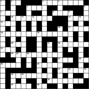 crossword puzzle