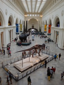 Main Hall at Field Museum