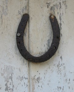 Lucky Horseshoe