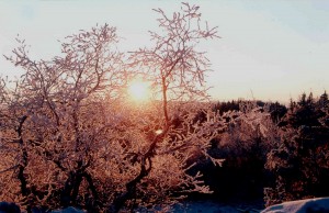 Winter Solstice - the rebirth of the Sun