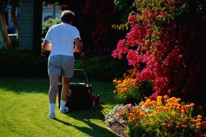 1. Father is mowing the lawn.