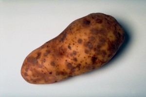 One potato